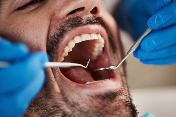 Best Laser Dentistry  in Forest Glen, MD
